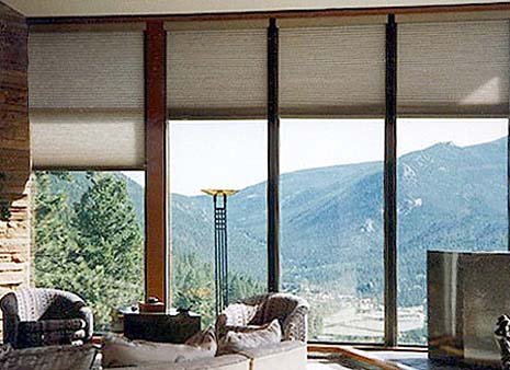 Automatic Window Treatments