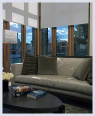 Electrics Blinds and Shades